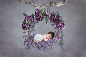 Baby Photo Shoot