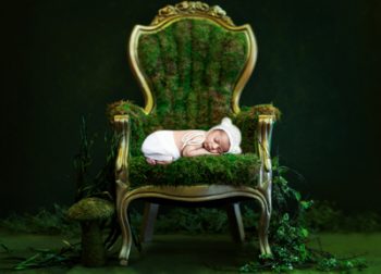 newborn photography