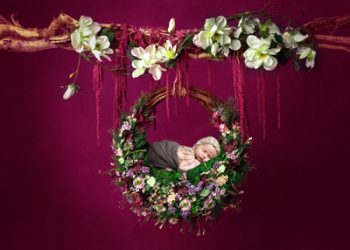 newborn photography