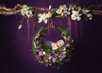 newborn photography