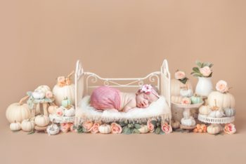 newborn photography